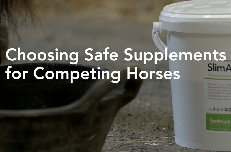 How to Choose Safe Supplements for Competing Horses